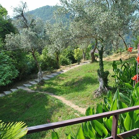 Villa Oliva New Athos Exterior foto